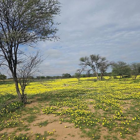 Kaoko Bush Lodge Kamanjab ภายนอก รูปภาพ