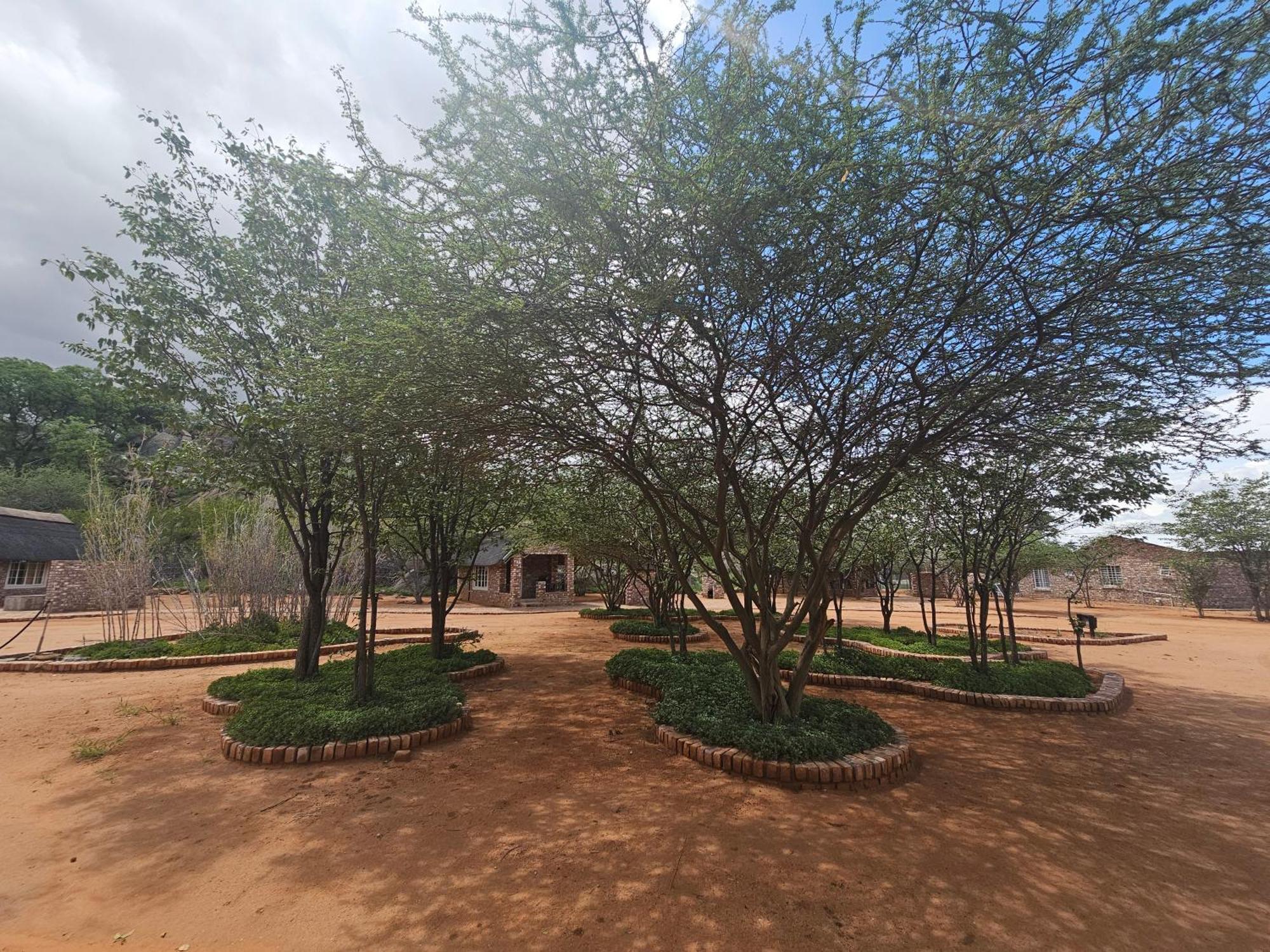 Kaoko Bush Lodge Kamanjab ภายนอก รูปภาพ